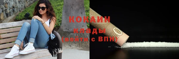 mdpv Вяземский