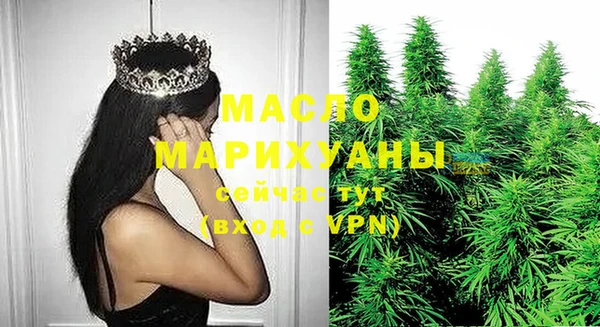 mdpv Вяземский